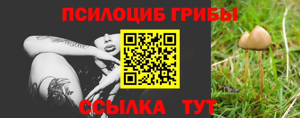 Псилоцибиновые грибы GOLDEN TEACHER Дивногорск