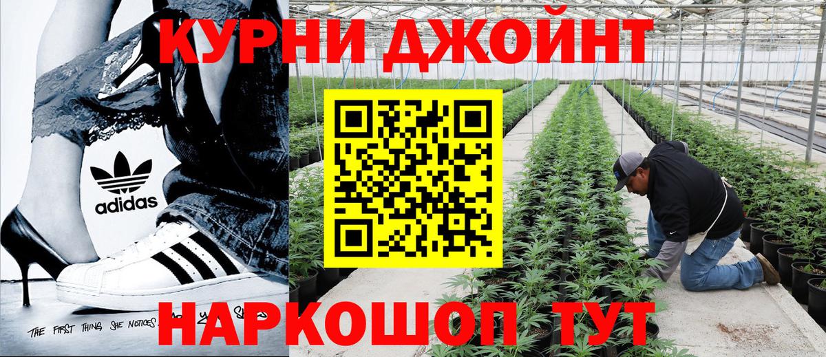 Дивногорск  Марихуана Ganja  Бошки Шишки THC 21%  Вход с VPN  Шишки марихуана ГИДРОПОН 